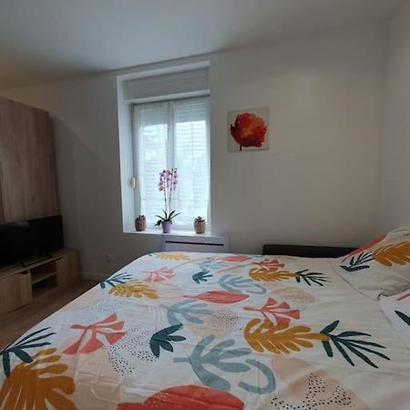 Apartmán Studio Coquelicot Nancy Exteriér fotografie